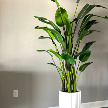 Artificial Bird of Paradise Arrangement – Tall White Sculpted Planter
