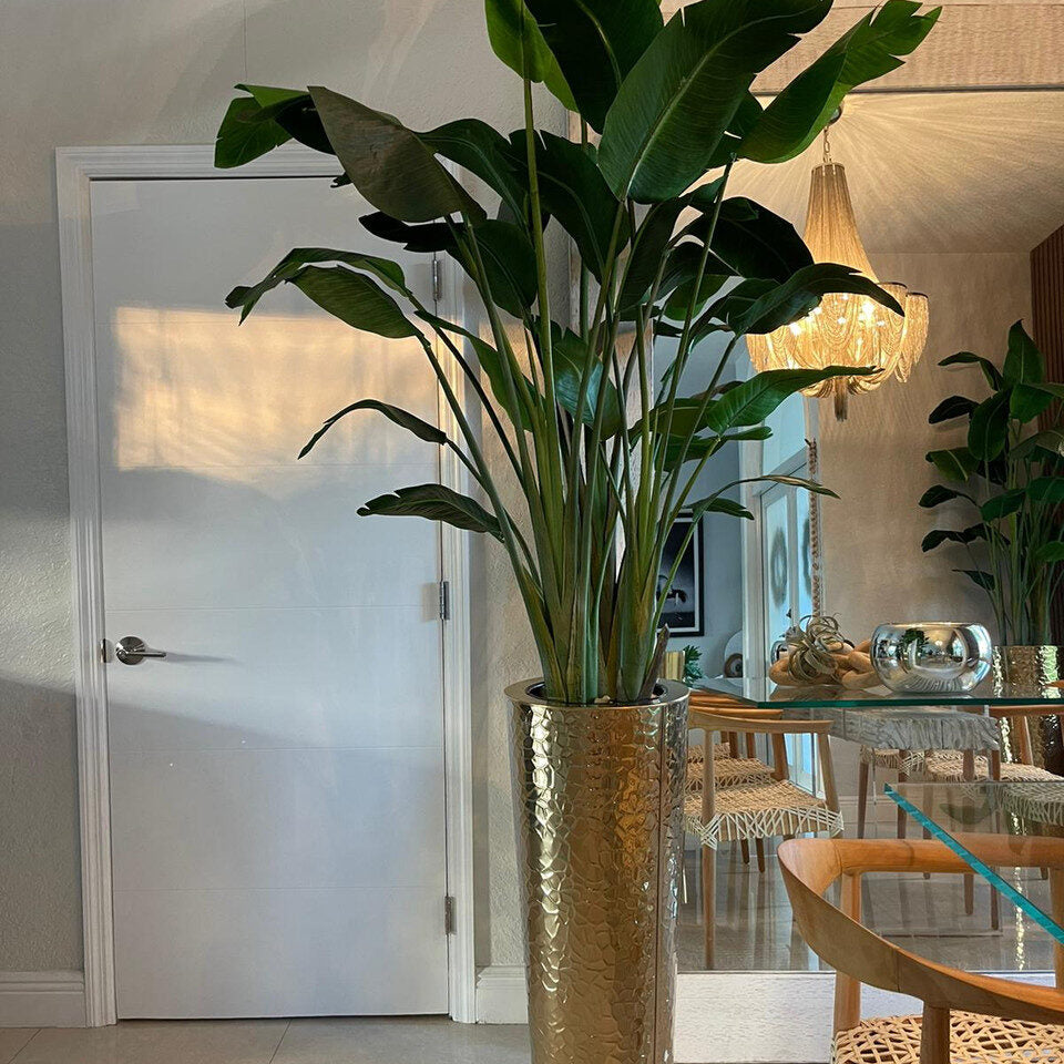 Bird of Paradise in Gold Hammered Planter