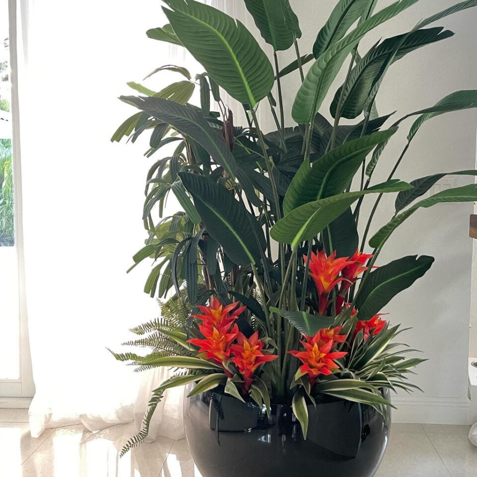 Tropical Bromeliad & Bird of Paradise Grand Arrangement in Gloss Black Bowl