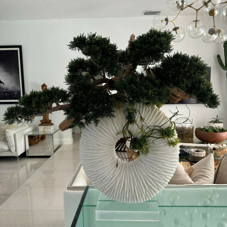 Contemporary Bonsai Art Sculpture in Textured White Circle Vase
