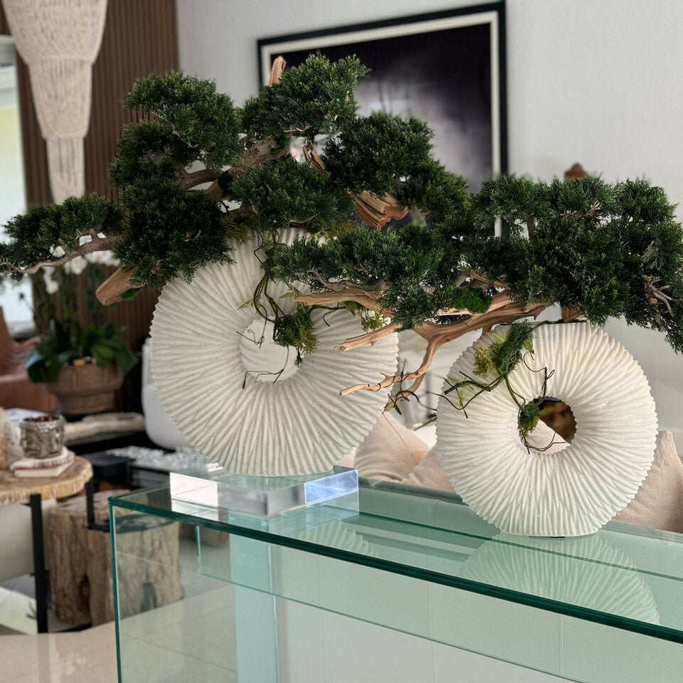 Contemporary Bonsai Art Sculpture in Textured White Circle Vase