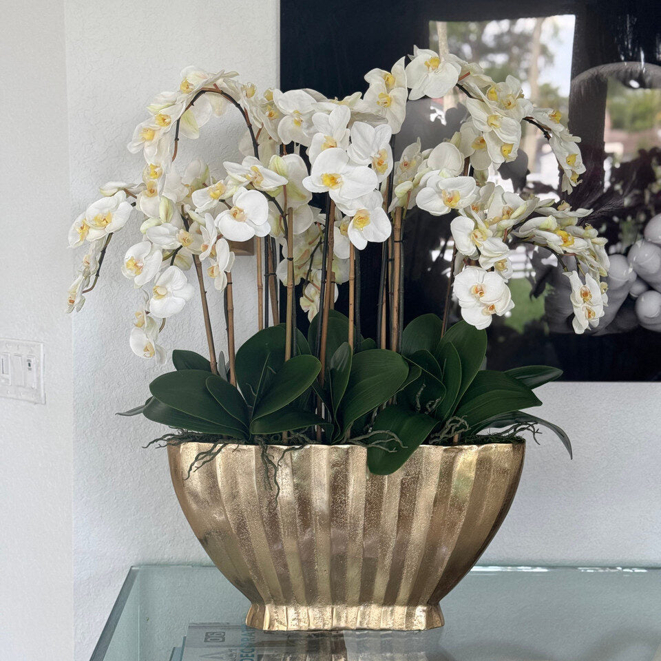White Phalaenopsis Orchid Luxe Arrangement in Gold Fluted Planter