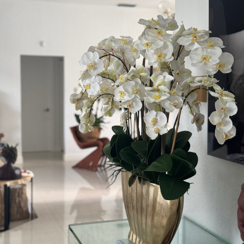 White Phalaenopsis Orchid Luxe Arrangement in Gold Fluted Planter