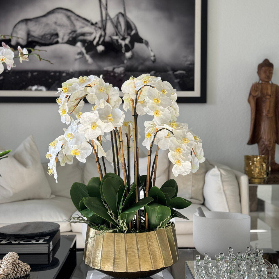 White Phalaenopsis Orchid Elegance in Gold Fluted Planter