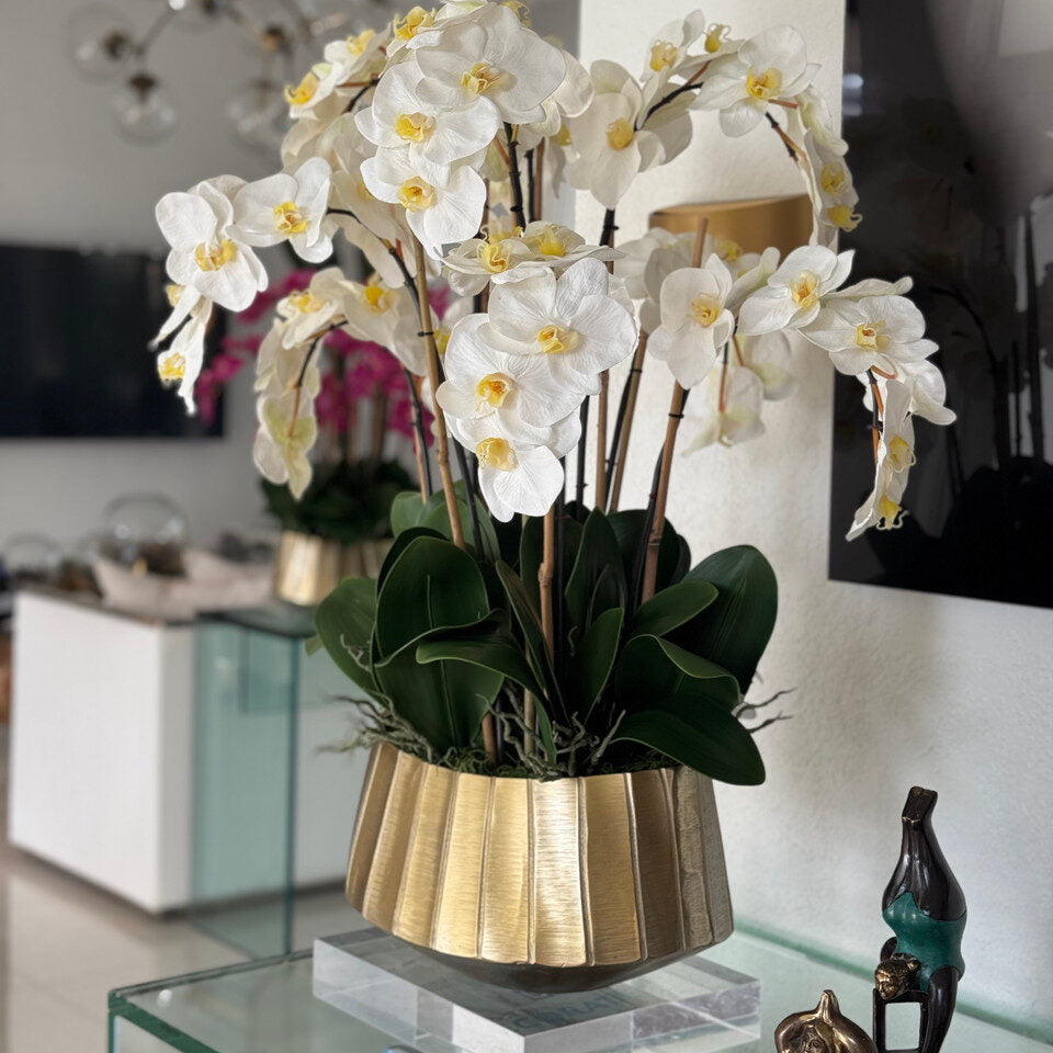 White Phalaenopsis Orchid Elegance in Gold Fluted Planter