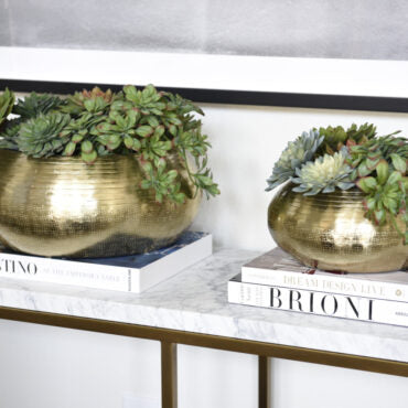 Artificial Succulent Plant