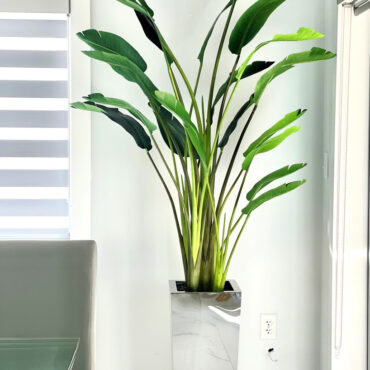 Tall Bird of Paradise in Chrome Mirror Square Planter
