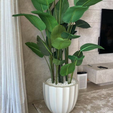 Tall Bird of Paradise in Sculpted White Rounded Planter