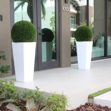 Modern Topiary Sphere in Tall White Tapered Planter