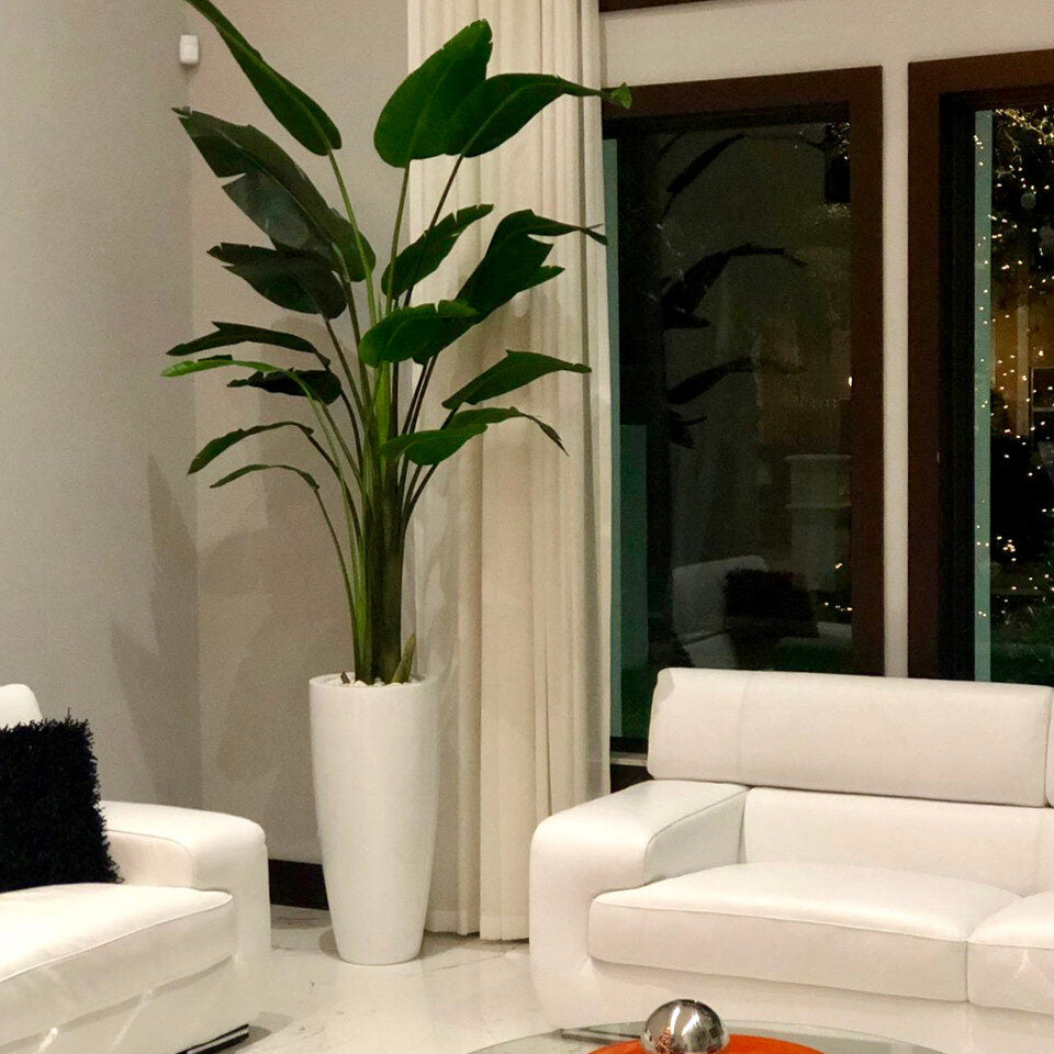 Luxury Artificial Bird of Paradise – Tall White Planter Edition