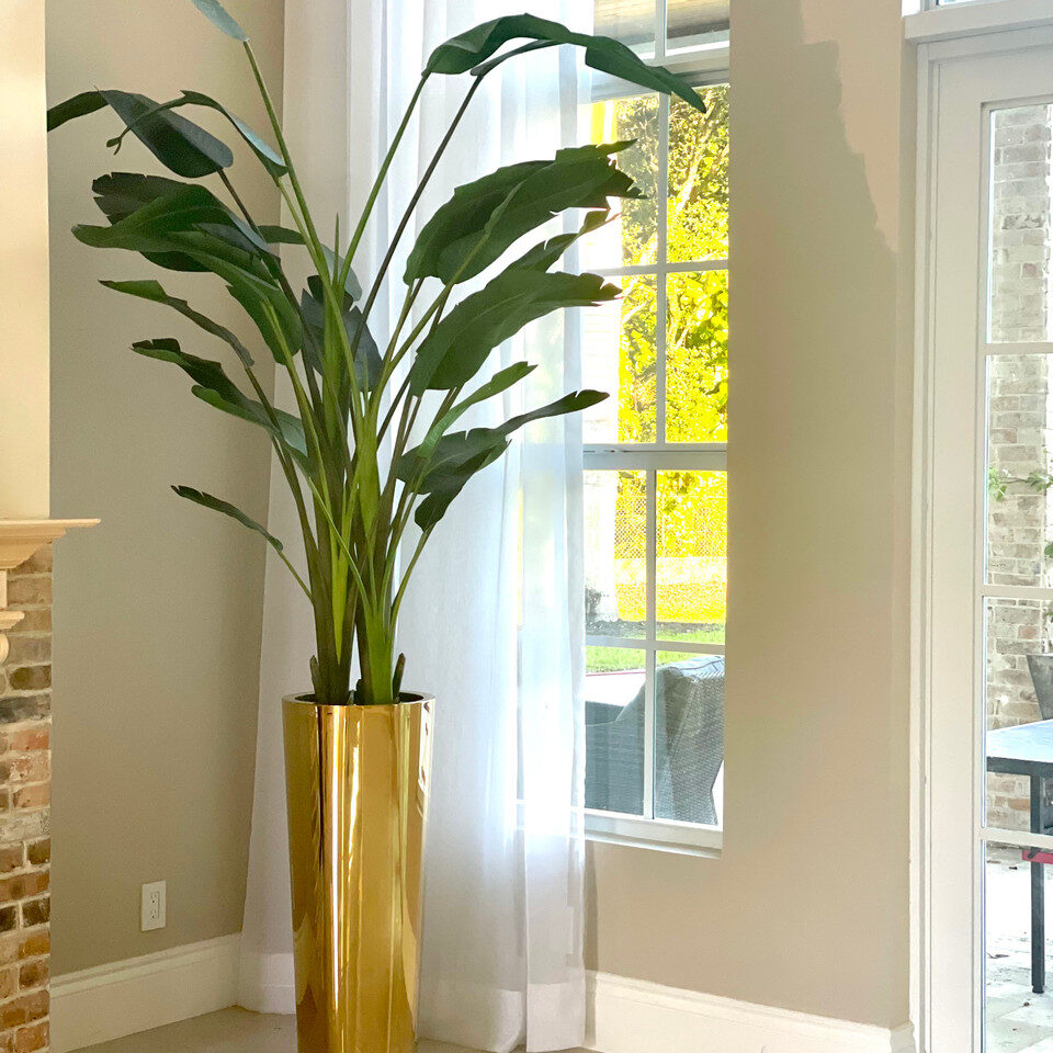 Tall Bird of Paradise in Gold Cone Luxury Planter