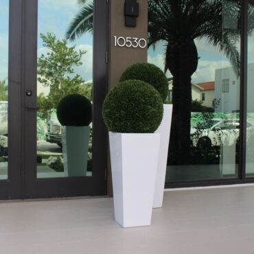 Modern Topiary Sphere in Tall White Tapered Planter