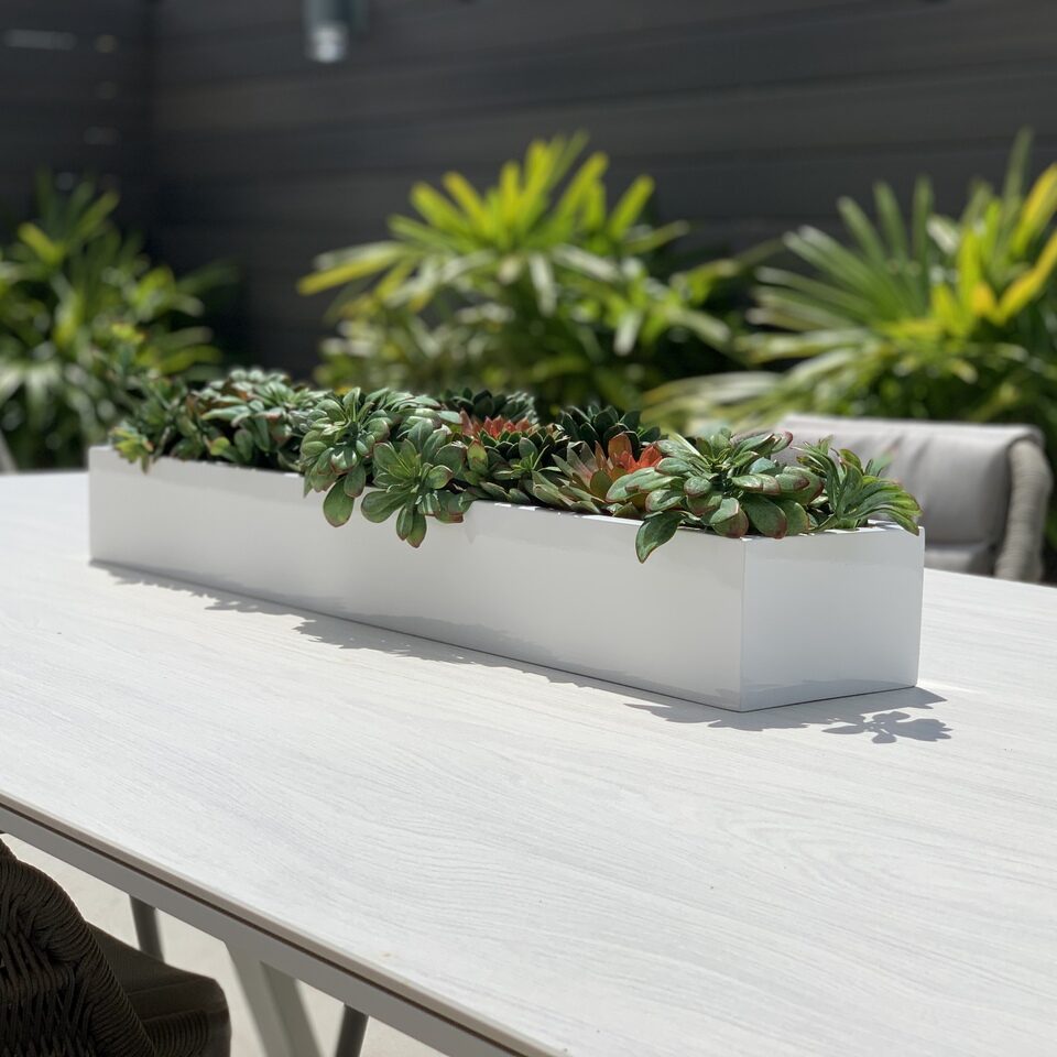 Artificial Succulent Plant