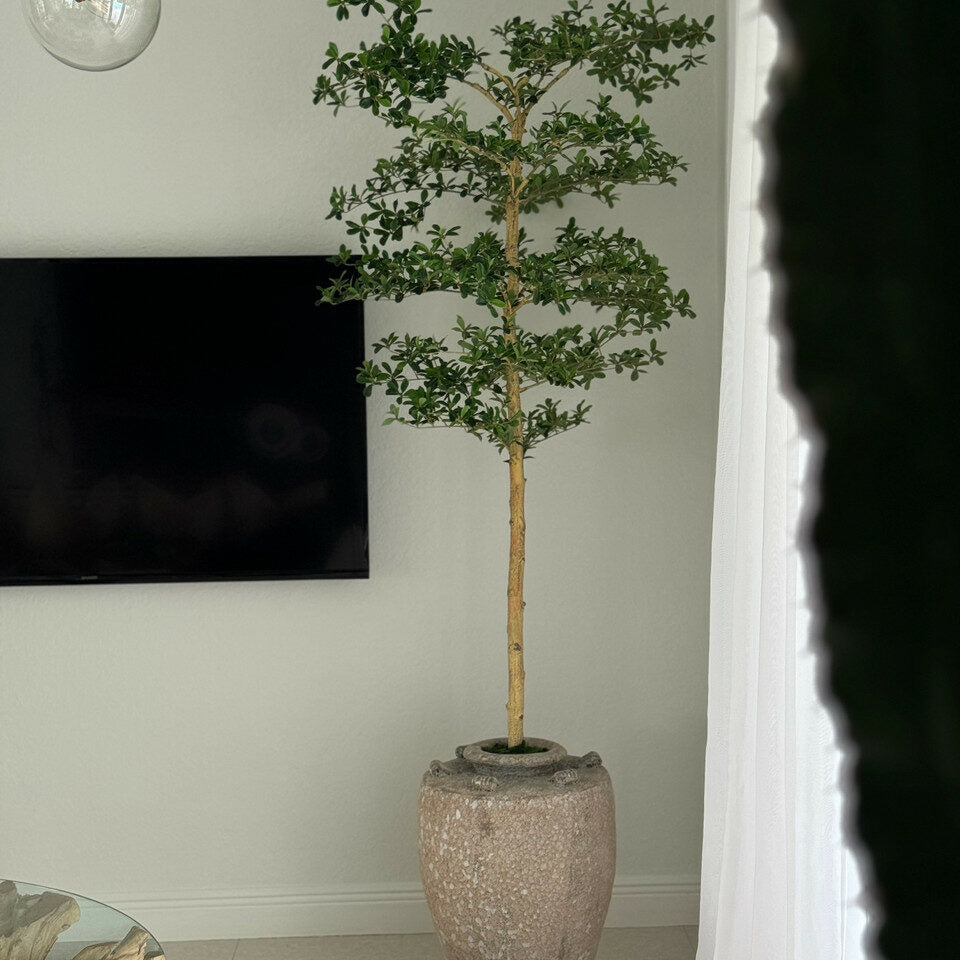 Slim Olive Topiary in Textured Ceramic Urn