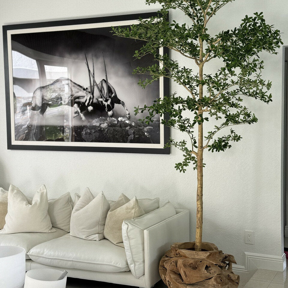 Luxury Artificial Boxwood Tree – Mounted in Organic Teak Root Vessel